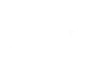 mobile & web  solutions